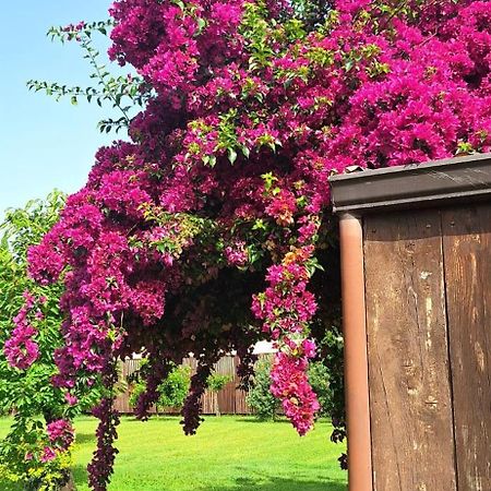 Villa Lucilla Altavilla Silentina Exteriör bild