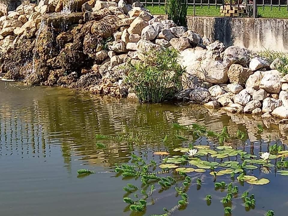 Villa Lucilla Altavilla Silentina Exteriör bild