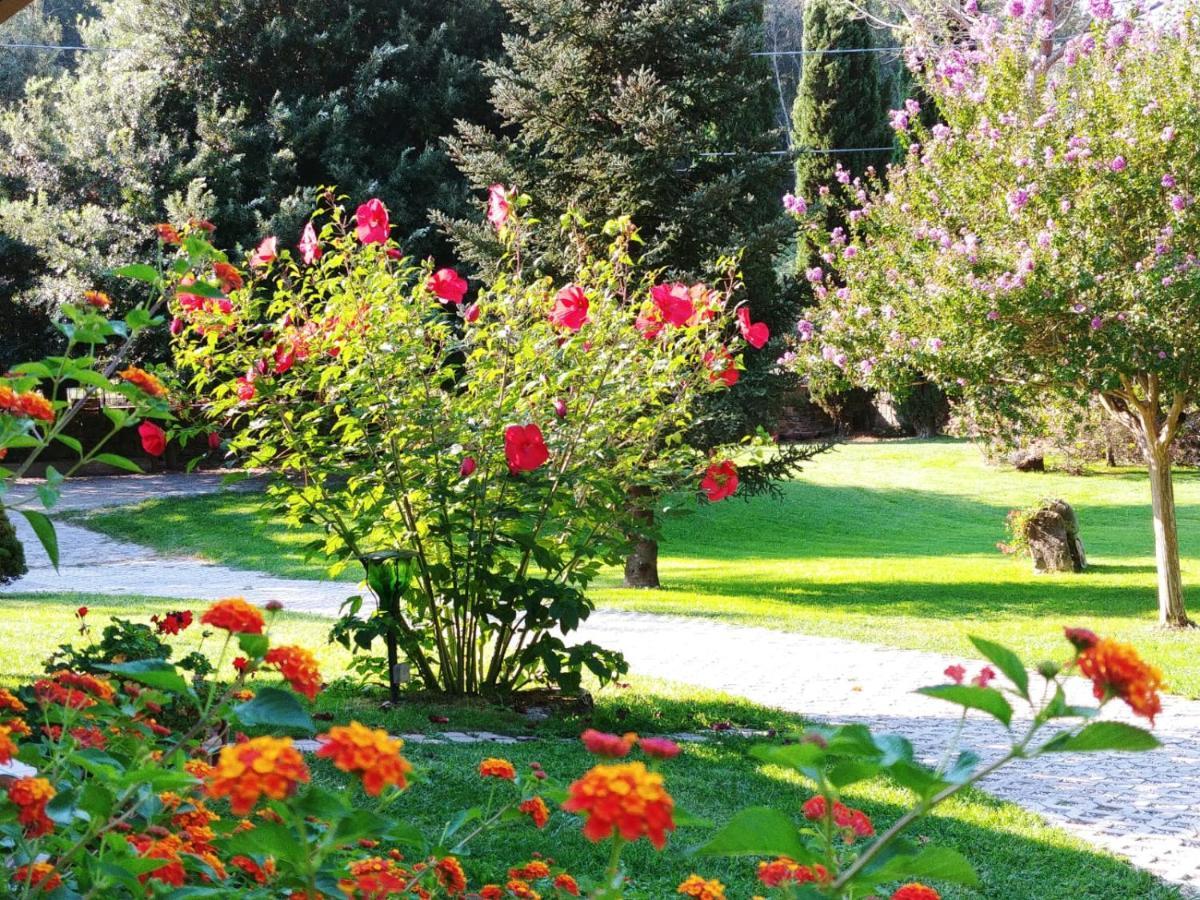 Villa Lucilla Altavilla Silentina Exteriör bild