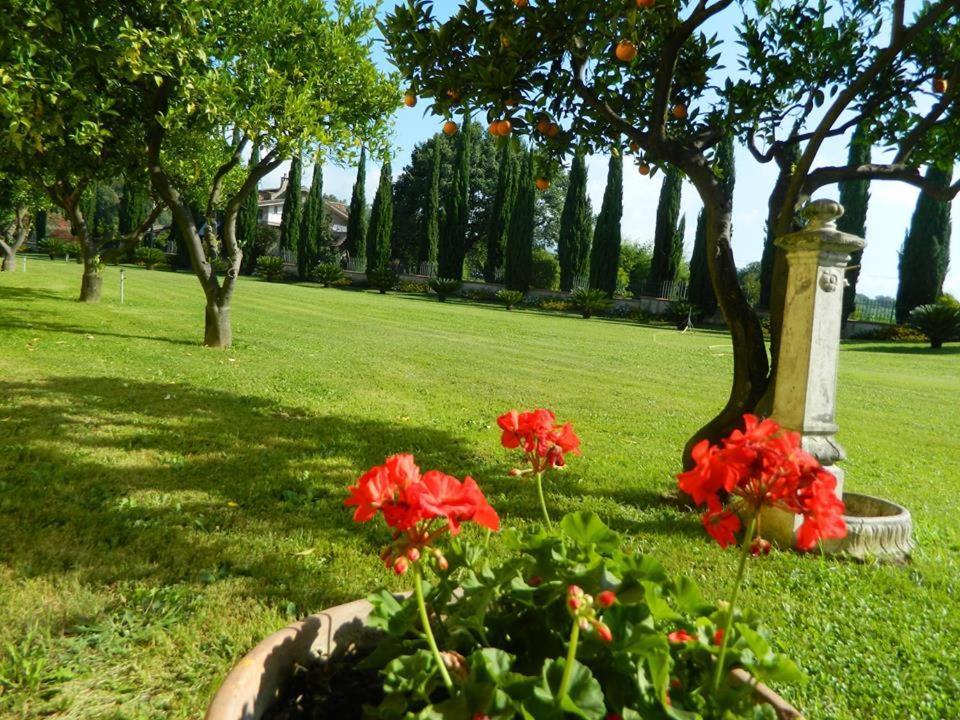 Villa Lucilla Altavilla Silentina Exteriör bild