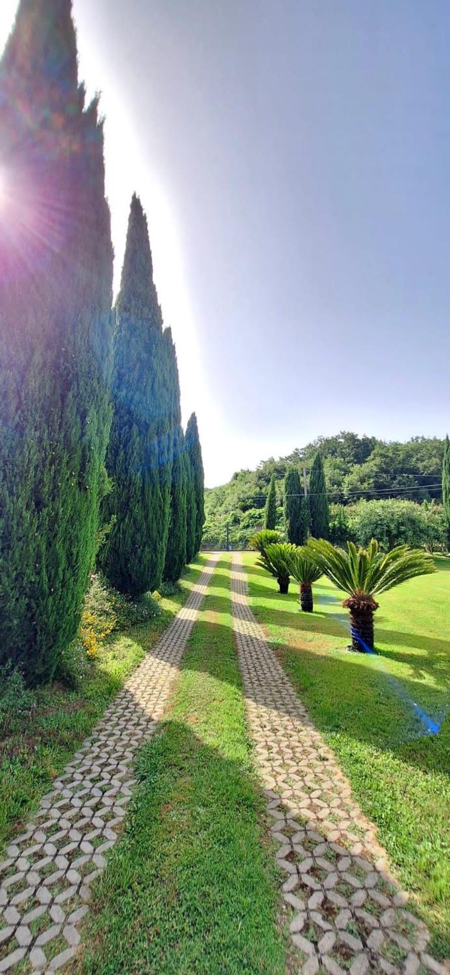 Villa Lucilla Altavilla Silentina Exteriör bild