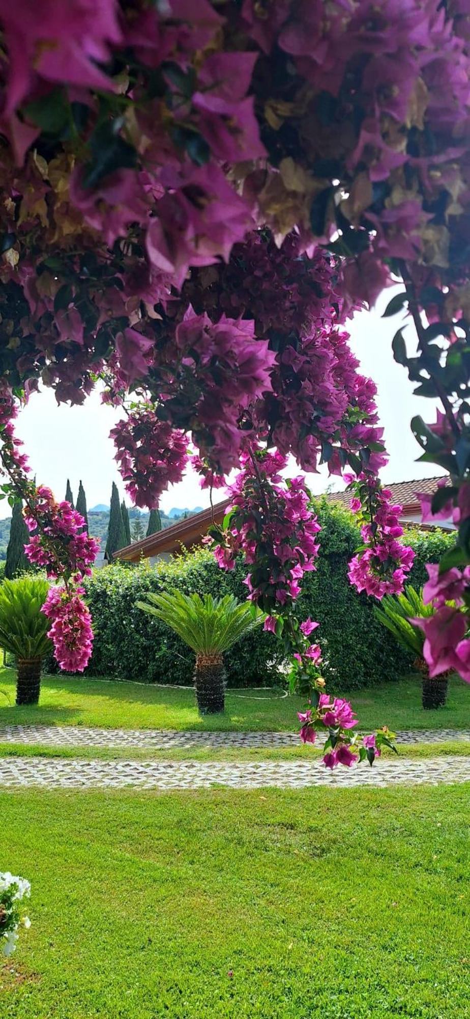 Villa Lucilla Altavilla Silentina Exteriör bild