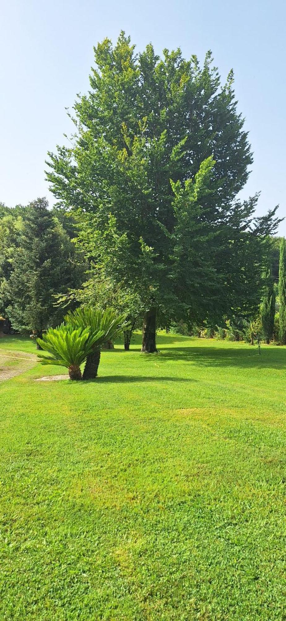 Villa Lucilla Altavilla Silentina Exteriör bild