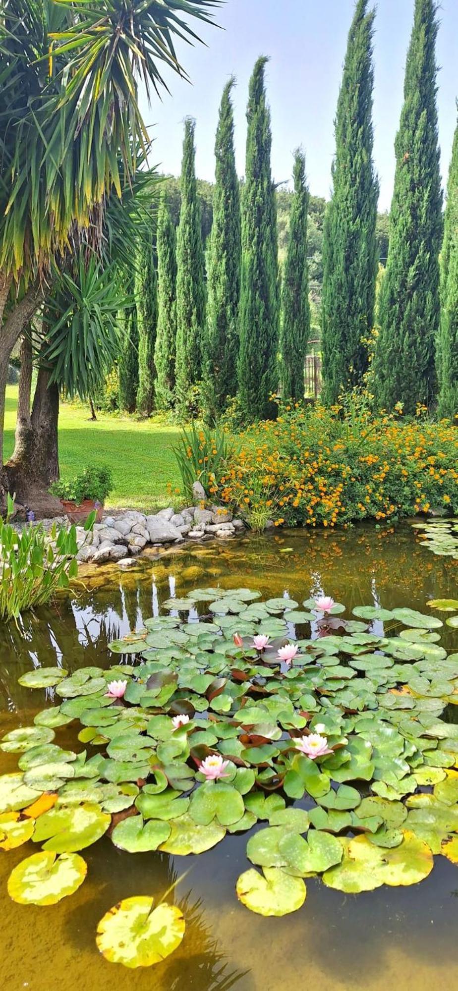 Villa Lucilla Altavilla Silentina Exteriör bild